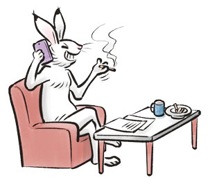 ひよこ食い？？