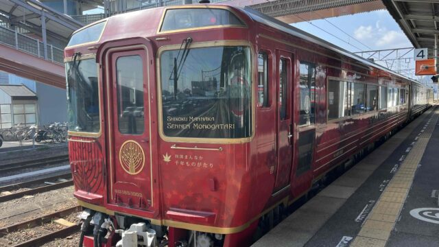 専門分野があったほうがいい理由